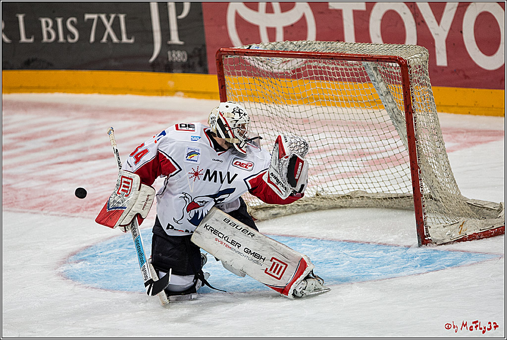 DEL, Koelner Haie - Adler Mannheim, 05.02.2017
